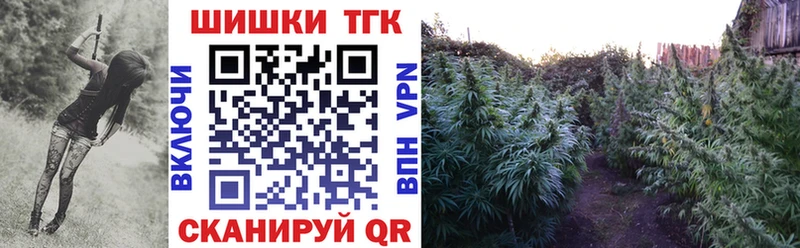 Купить  Ржев  Канабис Amnesia 